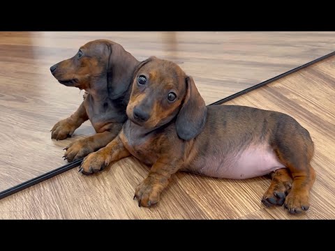 YouTube 썸네일