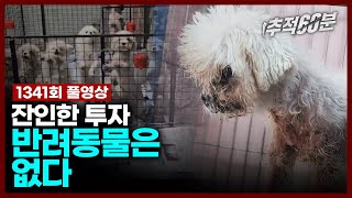 [full] 잔인한 투자, 반려동물은 없다 | 추적60분 1341회 KBS 231027 방송