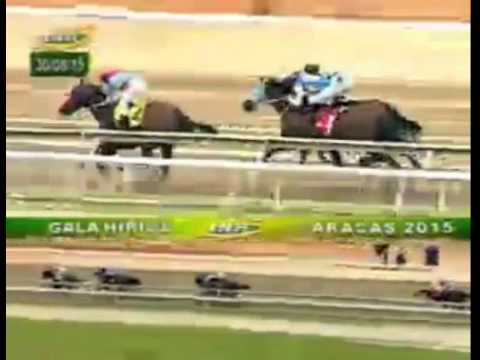 LA RINCONADA 4 CARRERA, DOMINGO 30 DE AGOSTO DEL 2015