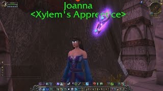 The Story of Thieving Apprentice - Patch 7.2 Artifact Quest [Lore]