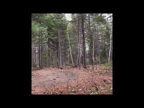 Honda Crf 250L With Fmf Power Core 4