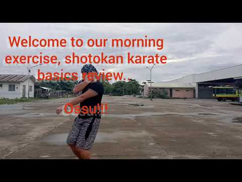 Karate Jutsu, Basics with zenkutsudachi