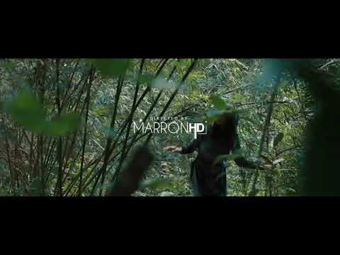 Black Jonas Point - Todo Se Cura (Vídeo Oficial)