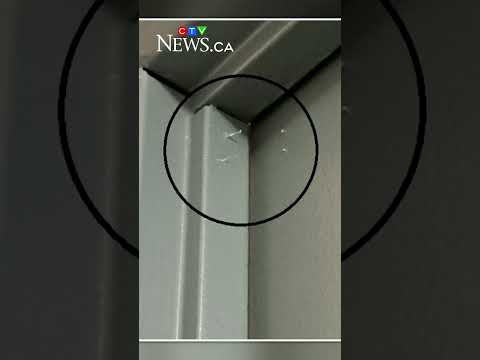 Hot glue used in Vancouver break ins