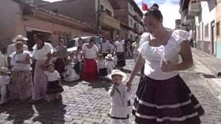 preview picture of video 'DESFILE DE ARRIERITOS 2014 en ciudad bolivar'
