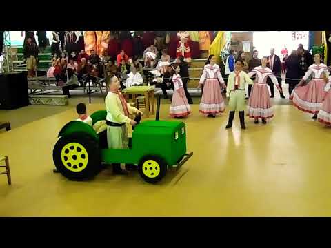 Fest Mirim DTG PONCHO VERDE