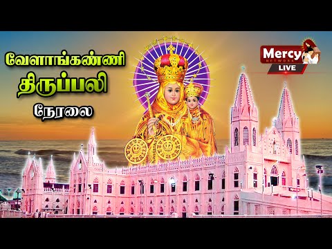 LIVE - 01-07-2022 | Friday Morning Mass | Our Lady of Good Health Vailankanni Shrine Basilica.