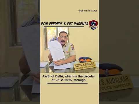 Feeding Strays is LEGAL | Pet Parents Know Your Rights | PAL Welfare Foundation  #viral #viralshort