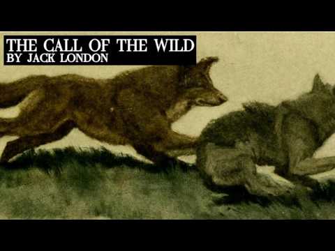 The Call of The Wild By Jack London - Complete Audiobook (Unabridged)