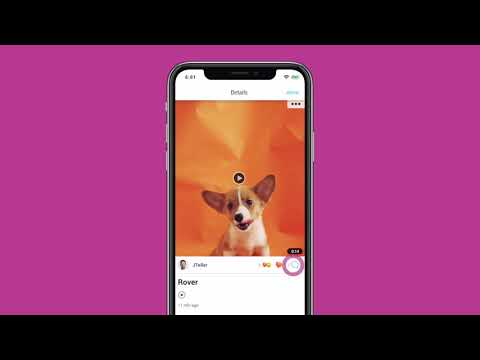 Video Image