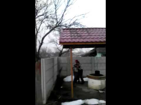 Cei mai mari batausi din celaru