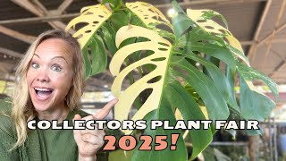 Plant Fair Drama: Rare Finds, Unexpected Turns, and Real Talk