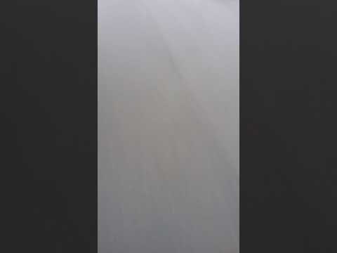 Cruising (West Coast, arcata) back neighborhoods