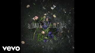 GAMMAL - Blommor Där Du Står (Audio)