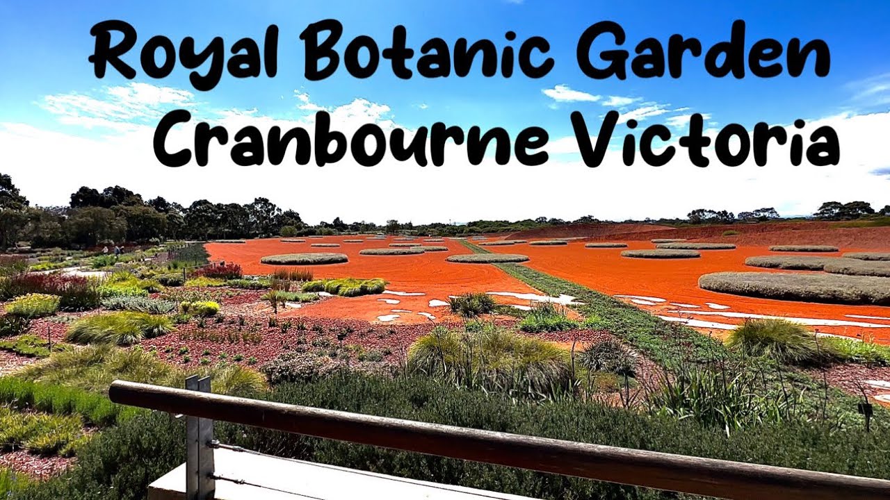Experience the beautiful aerial vistas of Royal Botanic Gardens Cranbourne.