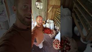 In 3 Weeks I Give up the Grocery Store - Foraging 100% of My Food