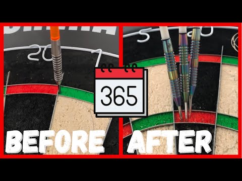 I Trained Like A Pro Dart Player For 365 Days