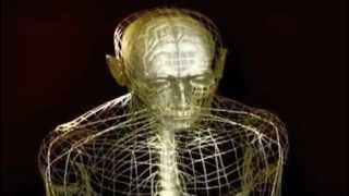 Perpetual Motion - Nuphlo