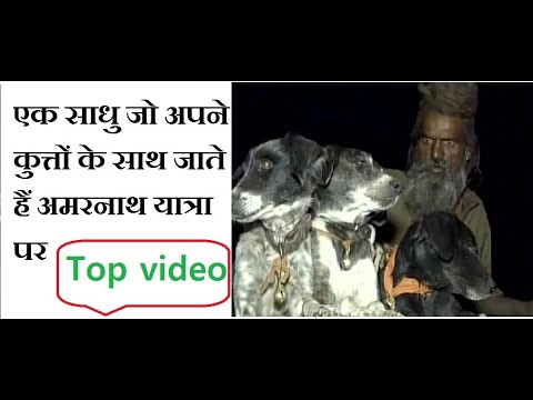 Indian Sadhu Travels to amaranth with his 5 dogs