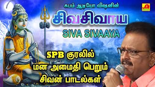 Download lagu பௌர்ணமி சிவ சிவ சங்கரா  சிவபெருமான்  பக்தி பாடல்கள் | Subamaudiovision #spbsivansongs #spbsong #spb mp3 Download lagu பௌர்ணமி சிவ சிவ சங்கரா  சிவபெருமான்  பக்தி பாடல்கள் | Subamaudiovision #spbsivansongs #spbsong #spb mp3