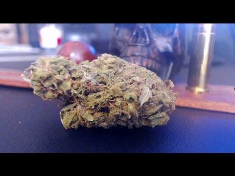 2-4-16 DEMOCRATIC DEBATE WITH BERNIE SANDERS AND HILLARY CLINTON  - ADULT MATERIAL! 18 & UP!