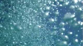 Brett - Confidence (Viceroy Remix)