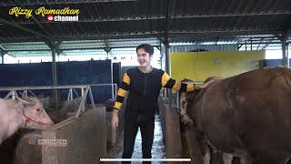 Download lagu Main ke Kandang Sapi Punya Bapak (Gembala Elite Kuningan) | Rizzy Ramadhan mp3