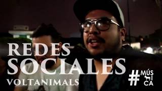 Voltanimals; Entrevista en Xalapa