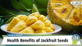 Health Benefits of Jackfruit Seeds