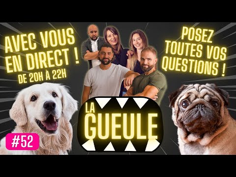 La GUEULE #52 - Actu, Décryptages, Bons plans, Bonne humeur et Chien !