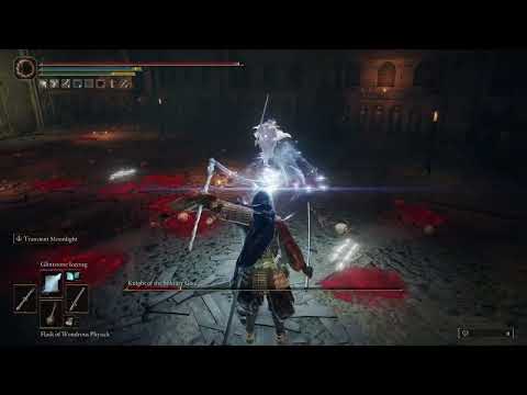 ELDEN RING  -  Knight of the Solitary Gaol (2026-03-19)