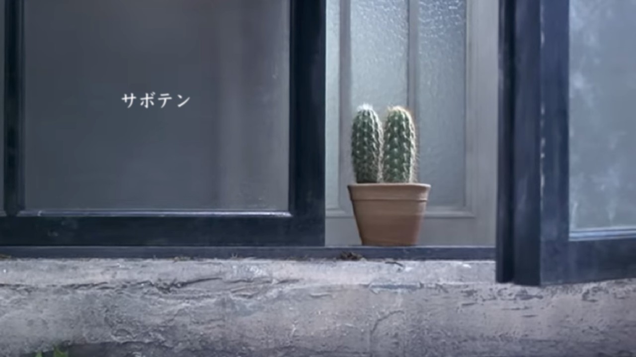 ポルノグラフィティ『サボテン』MUSIC VIDEO