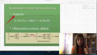 Целлюлоза