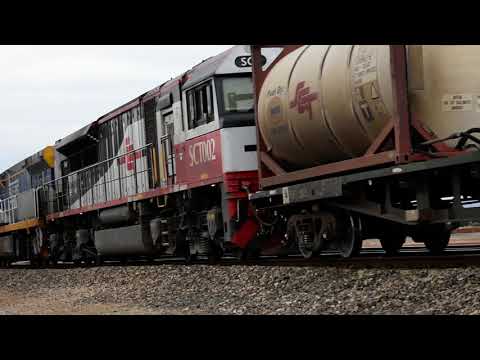 Freight Train (4PM9)