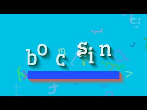 How to say "bocasin"! (High Quality Voices)