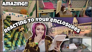 reacting to my subs AMAZING guinea pig cages