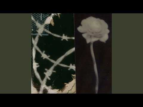 hug & kiss (feat. miso, fka, sogumm, lydia paek) (hug & kiss (feat. miso, fka, sogumm, lydia paek))