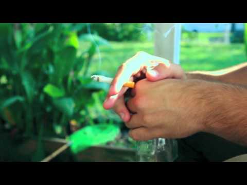 Black Bass Down (NAXX VS. THE CATARACS FEAT. DEV)