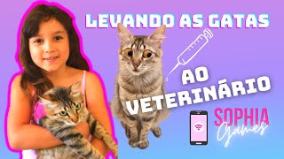 Levando as gatas ao veterinrio - V@cinando para viajar de avio