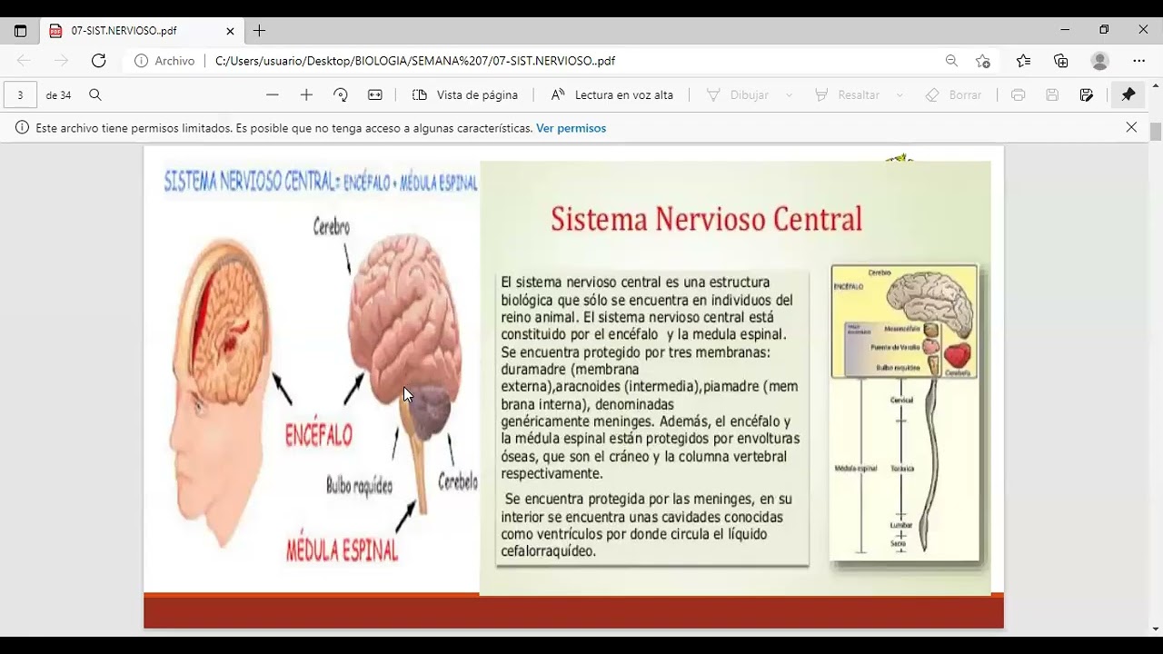 SEMINARIO - SISTEMA NERVIOSO - MEDICINA INTERNA