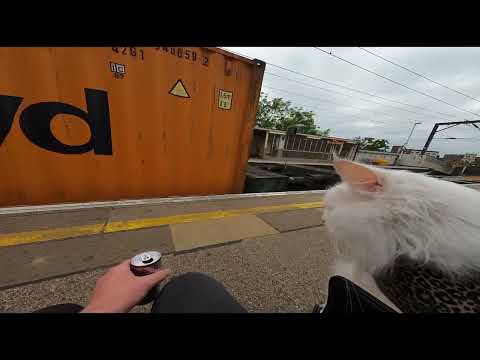 Freightliner Class 66 No. 66413 'Lest We Forget' passing Kentish Town West