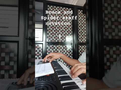 Bruce and Spider staff notation music #youtubemusic #pianonotes  #youtube #music