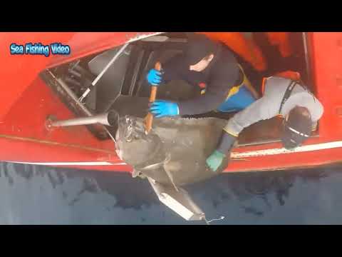 Amazing Fastest Big Tuna Fishing Skill