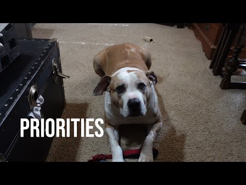 Priorities - Short Film