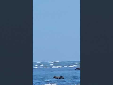 Puerto de Acajutla, Sonsonate El Salvador #elsalvador #playa #surf