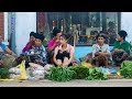 Harvesting Wild Vegetables To Sell In Highland Markets Gardening Mountain Family Life EP 65