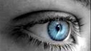 Lettermen: White Lies Blue Eyes