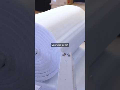 Got a DOG or a CAT? Check this out! #technology #funfact