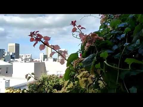 71 Chiappini Street, Bo-Kaap - Cape Town Property For Sale