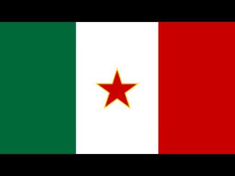 La Brigata Garibaldi